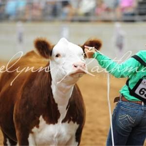 Meet your Posher, Libbi